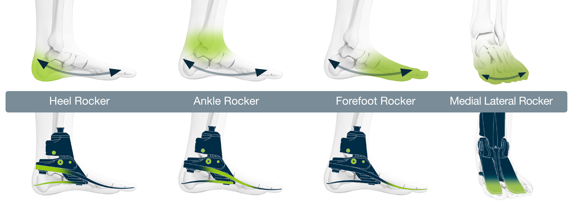 Biomimetic Foot Design